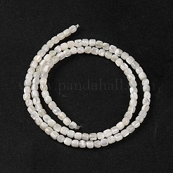 Natürliche Trochusmuschelperlenstränge&nbsp;BSHE-S304-09B