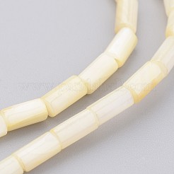 Conchiglia naturale fili di perle&nbsp;BSHE-P016-01