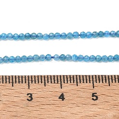 Natürliche Apatit Perlen Stränge&nbsp;G-Z160-A01-2mm