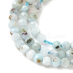 Larimar Naturperlen Stränge&nbsp;G-L627-A01-2mm