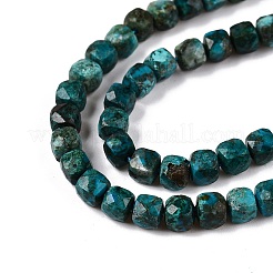 Natur Chrysokoll Perlen Stränge&nbsp;G-N342-117