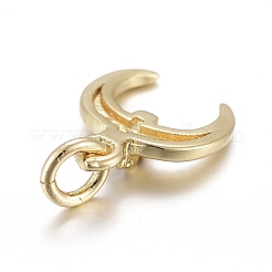 Messing micro pave klar zirkonia charme&nbsp;KK-I674-20G