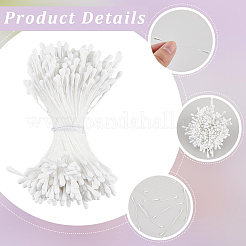 6 Bündel Gips mit Baumwollkordel und künstlichem Blumenkern&nbsp;DIY-GF0014-10B