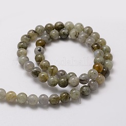 Labradorite naturale perle tonde fili&nbsp;G-E329-6mm-48