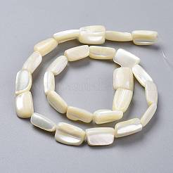Natürlichen Muschelperlen Stränge&nbsp;X-SSHEL-K026-01