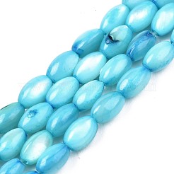 Shell perle d'acqua dolce fili&nbsp;SHEL-T009-B15