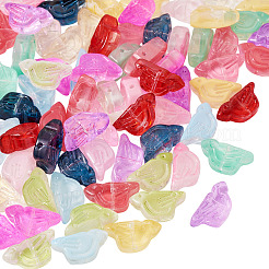 72pcs 12 Farben transparente Glasperlen&nbsp;DGLA-TA0001-53