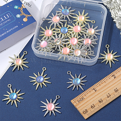 24pcs 6 estilos colgantes de aleación de chapado en rack&nbsp;FIND-SC0005-41