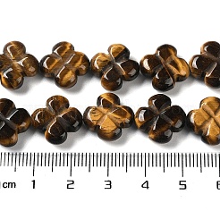 Fili di perline di occhio di tigre naturale&nbsp;G-M418-D04-01