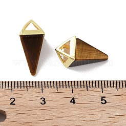 Ciondoli d'occhio di tigre naturale&nbsp;G-A222-02G-05
