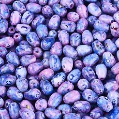 Perles de rocaille en verre picasso&nbsp;SEED-N012-10F