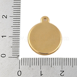 Pendentifs en acier inoxydable 304 avec placage ionique (IP)&nbsp;STAS-U019-20G