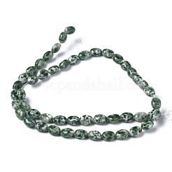 Fili di perle di diaspro spot verde naturale&nbsp;G-Z006-A22