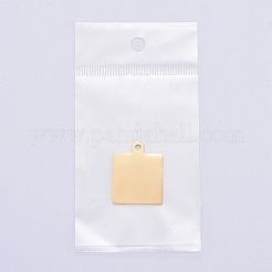 Pendentifs en acier inoxydable 304&nbsp;STAS-I140-23B-G