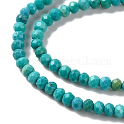 Fili di perline howlite naturale&nbsp;G-H025-03A-02