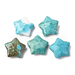 Natürliche howlite Anhänger / charms&nbsp;G-H241-04E