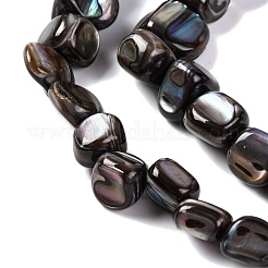 Eau douce naturelle de coquillage perles brins&nbsp;BSHE-S304-06