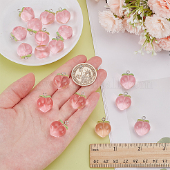 40pcs pendentifs acryliques transparents&nbsp;MACR-WR0001-05B