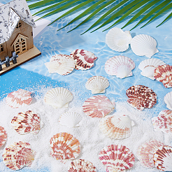 500g ornamenti in conchiglia naturale&nbsp;DJEW-FH0001-35A