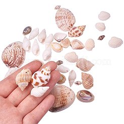 Conchiglie a forma di conchiglia con conchiglie a forma di conchiglia ovale mista con fori per artigianato fai da te&nbsp;BSHE-PH0002