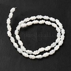 Natürliche Trochusmuschelperlenstränge&nbsp;SHEL-M021-01