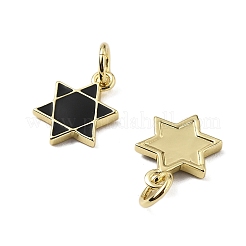 Messing Emaille Anhänger / charms&nbsp;KK-Z114-13G
