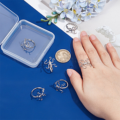 6 pieza de componentes de anillo de latón ajustable&nbsp;FIND-PH0038-31C