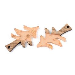 Colgantes de resina transparente y madera de nogal&nbsp;RESI-S389-008A-B04