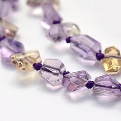 Naturperlen Stränge ametrine&nbsp;G-K202-25