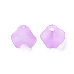 Transparente Acryl Perlen&nbsp;MACR-S373-106-D03