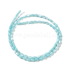 Hebras de cuentas de concha de trochus natural&nbsp;SHEL-K006-19D