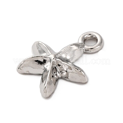 Aluminium Anhänger & Charms&nbsp;PALLOY-R162-14P