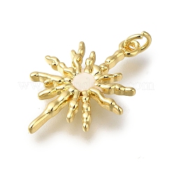 Pendentifs de placage en laiton&nbsp;KK-G500-23G