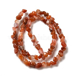 Agate naturelle rouge sud agate brins&nbsp;G-D081-A07