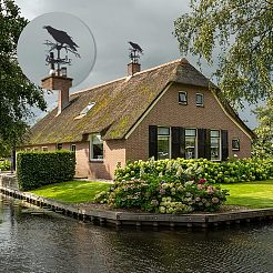 Windrichtungsanzeiger aus Kräheneisen&nbsp;AJEW-WH0034-65