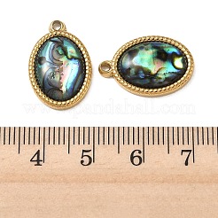 Natur Paua Muschel Anhänger&nbsp;STAS-G397-18G-02