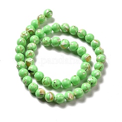 Fili di perle sintetiche turchesi e conchiglie montate&nbsp;G-D482-01A-02