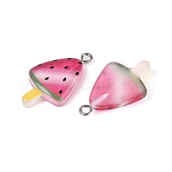 Pendentifs en résine transparente&nbsp;RESI-T059-07