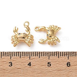 Pendenti con tema oceano in ottone micro pavé di zirconi cubici trasparenti&nbsp;KK-L266-02I-G
