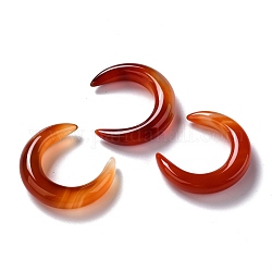 Natural Carnelian Beads, No Hole, for Wire Wrapped Pendant Making, Double Horn/Crescent Moon, Dyed & Heated, Grade AB, 31x28x6.5mm