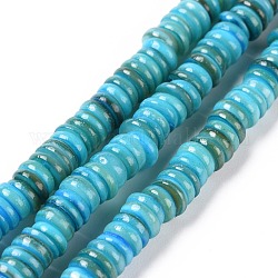 Muschelperlen Stränge, gefärbt, Scheibe, Deep-Sky-blau, 4.9~6x0.4~6 mm, Bohrung: 1.4 mm, ungefähr 15.94 Zoll ~ 16.14 Zoll (40.5~41 cm)