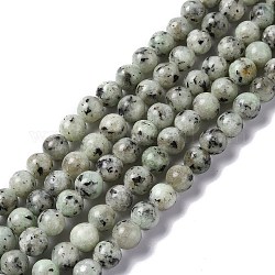 Natürliche Sesam Jaspis / Kiwi Jaspis Perlenstränge, Runde, gefärbt, dunkles Seegrün, 6 mm, Bohrung: 1 mm, ca. 64~66 Stk. / Strang, 15.08~15.35 Zoll (38.3~39 cm)