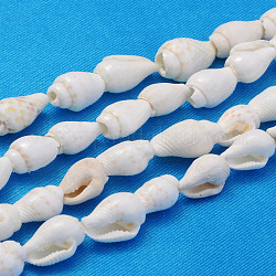 Natural Trumpet Shell Beads Strands, White, 6~13x4~8.5mm, Hole: 0.5~1mm, about 115~160pcs/strand, 37.01~50 inch