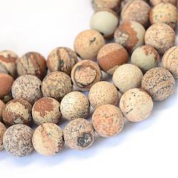 Chapelets de perles rondes en jaspe mat avec image naturelle, 6~6.5mm, Trou: 1mm, Environ 59 pcs/chapelet, 15 pouce