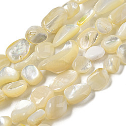 Shell normal de perles blanches de brins, pépites, beige, 8~19.5x8~13.5x3.8~9mm, Trou: 0.8mm, Environ 31~35 pcs/chapelet, 14.57~15.16'' (37~38.5 cm)