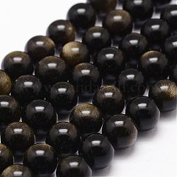 Natural Golden Sheen Obsidian Beads Strands, Round, Coffee, 8mm, Hole: 1mm, about 49pcs/strand, 15.7 inch