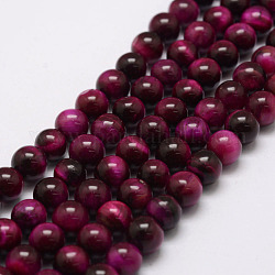 Chapelets de perles en œil de tigre naturelle, ronde, teints et chauffée, support violet rouge, 4mm, Trou: 0.6mm, Environ 88~93 pcs/chapelet, 15.5 pouce
