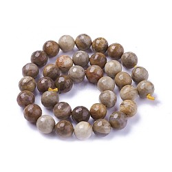 Chapelets de perles en bois pétrifié naturel, facette, ronde, 10mm, Trou: 1.2mm, Environ 39 pcs/chapelet, 15.15 pouce ~ 15.7 pouces (38.5~40 cm)