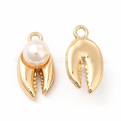 Pendenti di perle imitazione plastica abs, con accessori in lega, fascino dei denti, oro, 18x9.5x8mm, Foro: 1.8 mm