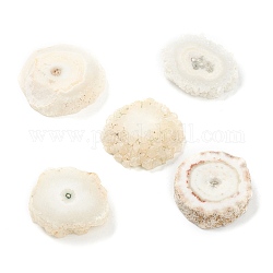Perles d'agate druzy naturelles brutes brutes, quartz solaire, pas de trous / non percés, plat rond, 20~23x4.5~7mm